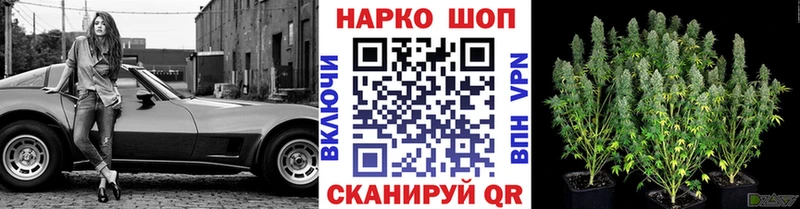 Продажа наркотиков Новый Оскол Бошки Шишки  Alpha PVP  МЕФ 