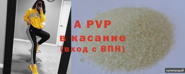 СК Арсеньев